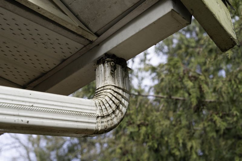 Downspout Blockage Removal in Monmouth County, NJ