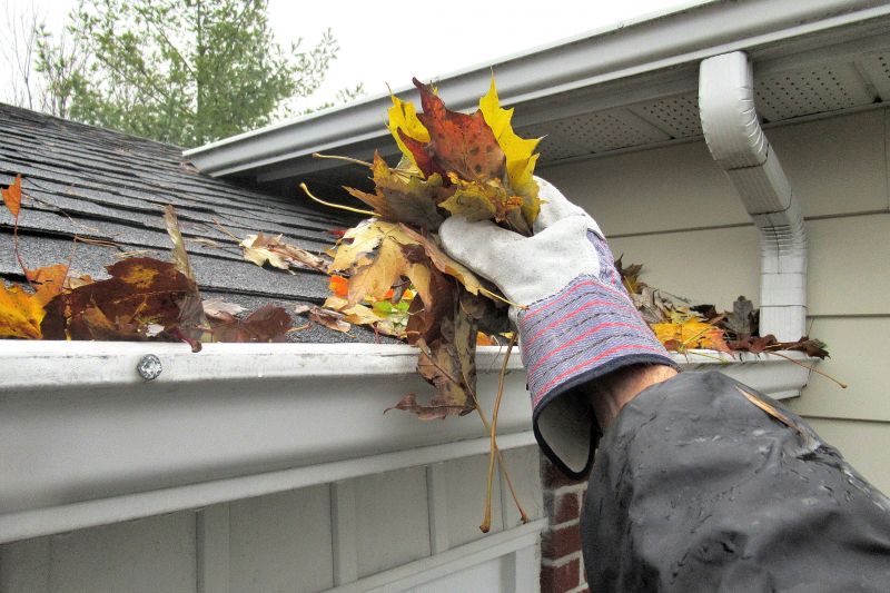 Eavestrough Clearing in Frederick, MD