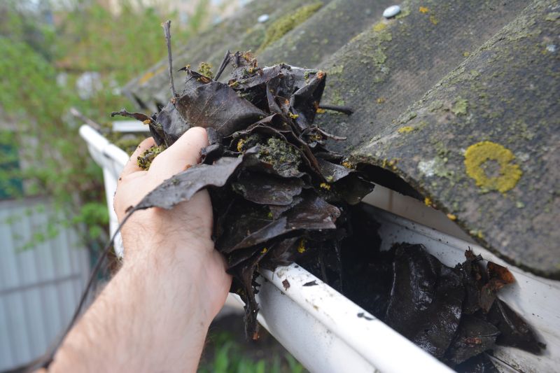 Gutter Blockage Removal in Longmont, CO