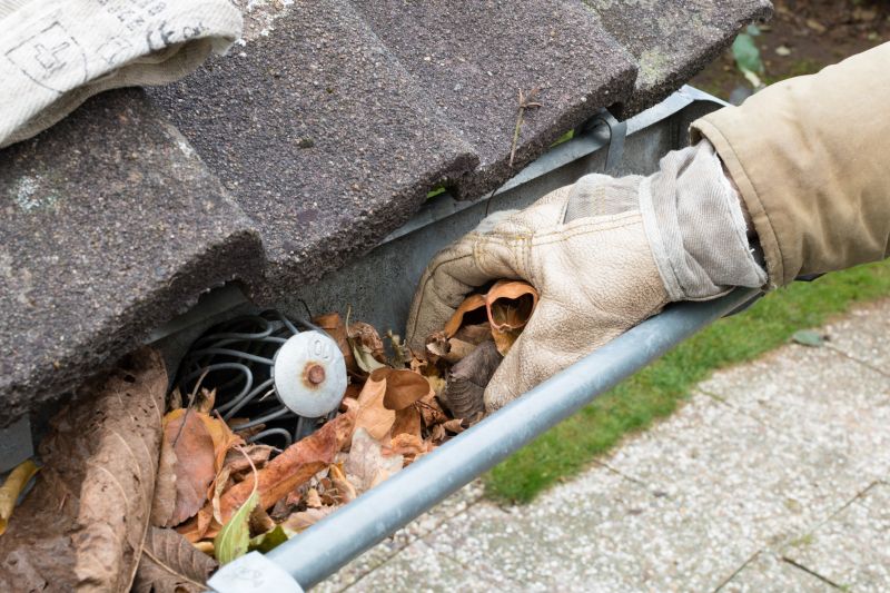 Gutter Cleaning in Annapolis, MD