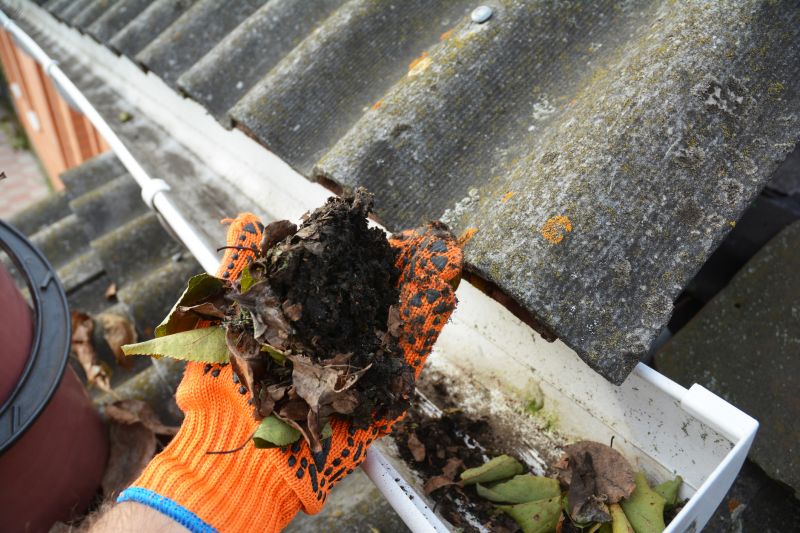 Gutter Leaf Clearing in Bergen County, NJ