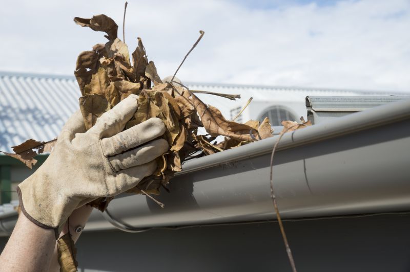 Gutter Pine Needle Removal in Arvada, CO