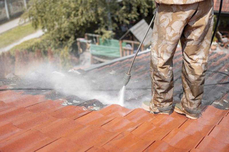 Roof Fungus Removal in Vancouver, WA
