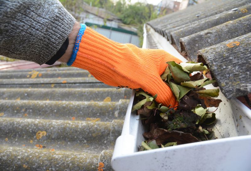Gutter Cleaning in Longmont, CO