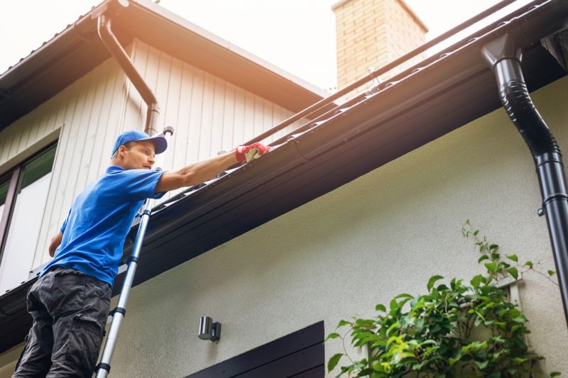 Roof Gutter Cleaning in Longmont, CO